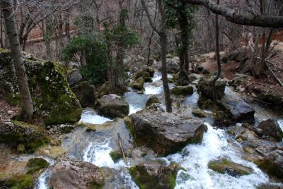 Прикрепленное изображение: rDSC_0145.jpg